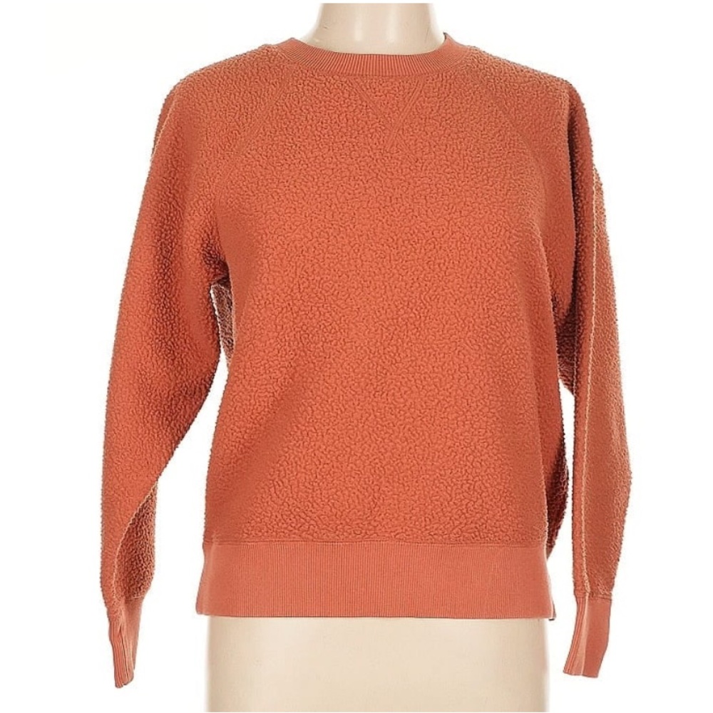 Everlane Sweatshirt